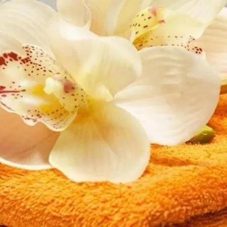 Regale B E B * Piano di Santa Laura